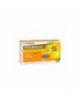 Arkoreal Jalea Real Fresca 2500mg 20 Ampollas