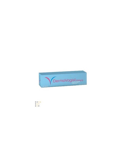 DERMOVAGISIL (20 MG/G CREMA VAGINAL 15 G )