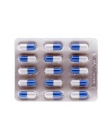 netisum vpt 396 mg 60 capsulas